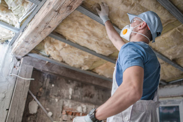 Best Specialized Insulation Services in West Bradenton, FL